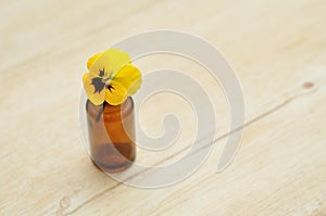 A yellow pansy in a small brown bottle