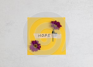 Yellow paper with gerberas and the word hope on a stone background.