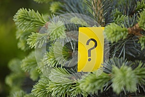 A yellow paper note with a question mark on it hanging on a subalpine fir photo