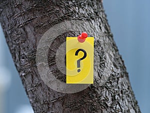 A yellow paper note with a question mark on it pinned to a tree