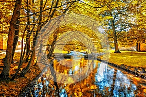 Yellow park on Poland with trees