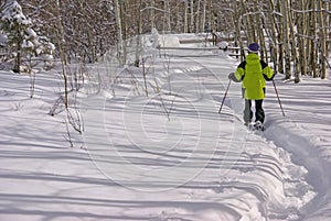 Yellow parka snow shoe hiker,