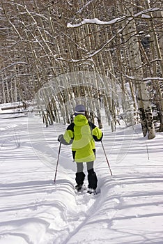 Yellow parka snow shoe hiker, on winter trail with bare aspens