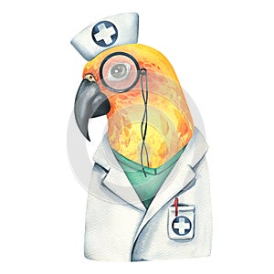 Yellow parrot is a doctor, in a medical gown and a cap with pince-nez. Watercolor illustration. Isolated object on a