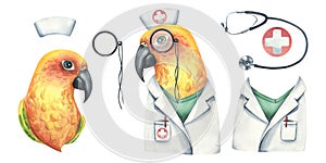 Yellow parrot is a doctor, in a medical gown and a cap with pince-nez. Watercolor illustration. Isolated objects on a