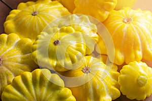 Yellow patisson close-up. Harvesting. Vegetables close-up