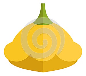 Yellow patisson icon. Raw squash flat symbol