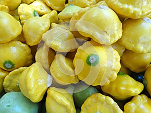 Yellow patty pan squash, Cucurbita pepo