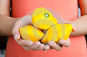 Yellow patty pan squash