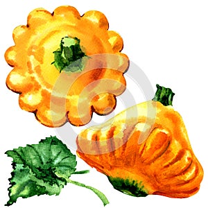 Yellow pattypan, baby summer squash with leaf isolated, watercolor illustration on white