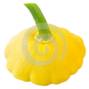 Yellow Pattypan squash Cucurbita pepo fruit, Sunny Delight variety  isolated