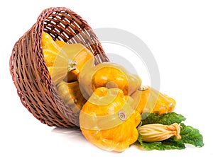 Yellow pattypan squash with leaf and flower in a wicker basket isolated on white background