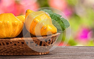 Yellow pattypan squash with leaf in a wicker basket on wooden table blurred background