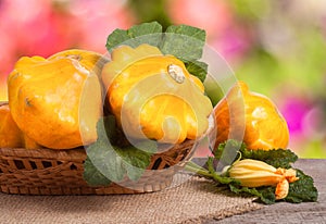 Yellow pattypan squash with leaf in a wicker basket on wooden table blurred background