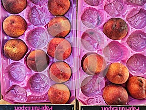 Yellow Peaches in Pink Plastic Tray, Greek Street Market