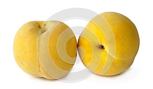 Yellow peaches on white background photo