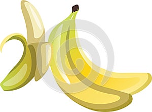 Yellow pealed bananas cartoon fruit vector illustration