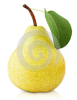 Yellow pear fruit with leaf on white photo