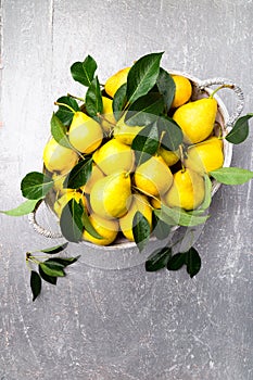 Yellow pear in grey basket in grey background. Harvest. Top view. Full box of pears.