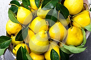 Yellow pear in grey basket in grey background. Harvest. Top view. Full box of pears.