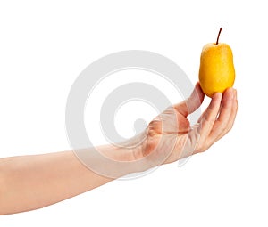 yellow pear in hand