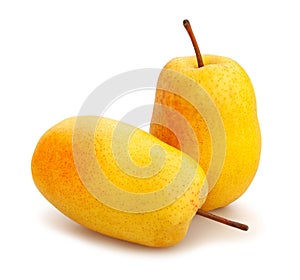 yellow pear path isolated