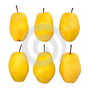 yellow pear path isolated