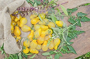 Yellow pear tomatoes. Healthy natural organic food