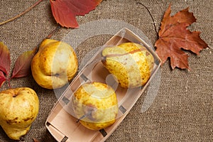 Yellow pears on a sackcloth