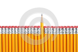 Yellow Pencils photo