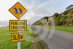 Yellow penguins crossing slow sign