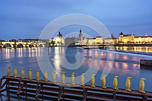 Yellow penguins in Prague