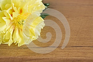 Yellow peonie on old wooden table Selective focus, blurred background. Spring flowers. Spring background. A place for