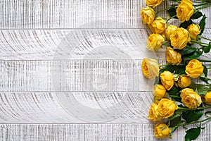 Yellow peony roses on the white wooden background. Top view