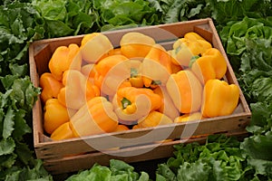 Yellow Pepers And Lettuce