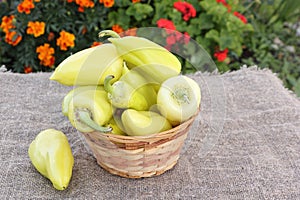 Yellow pepper in a basket on a table in a garden