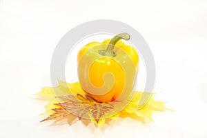 Yellow pepper isolated