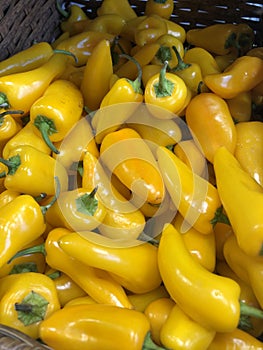 Yellow pepper paprika on the market