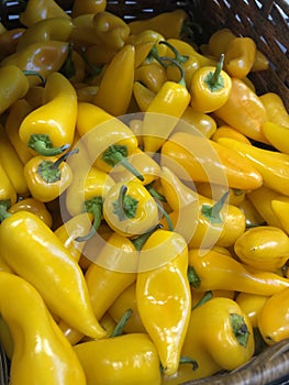 Yellow pepper paprika on the market