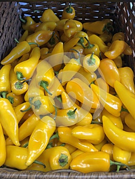 Yellow pepper paprika on the market