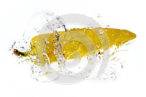 Yellow pepper with water splash isolated