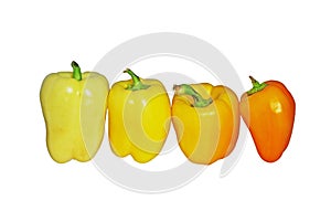 Yellow peppers