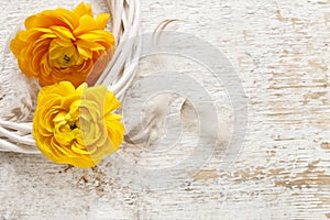 Yellow persian buttercup flowers (ranunculus) on wooden background.