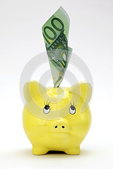 Yellow piggy bank with hundred euro bill