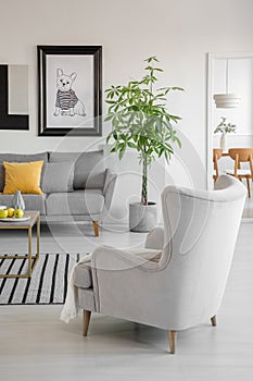 Yellow pillow on grey couch in chic living room with comfortable armchair and green plant in pot