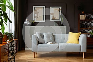 Yellow pillow on grey settee in retro living room interior with posters and plants on cabinet. Real photo