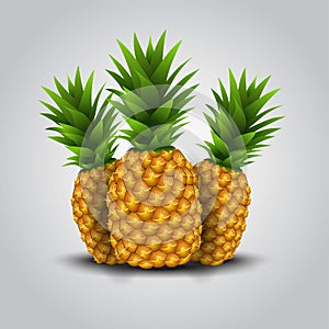 Yellow pineapple isolated with white background. vector illustration design