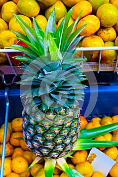 Yellow pineapple in the market