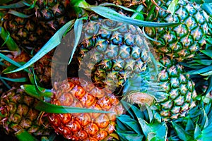 Yellow pineapple in the market