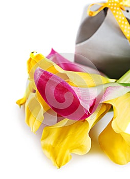 Yellow and pink cala lilies with present